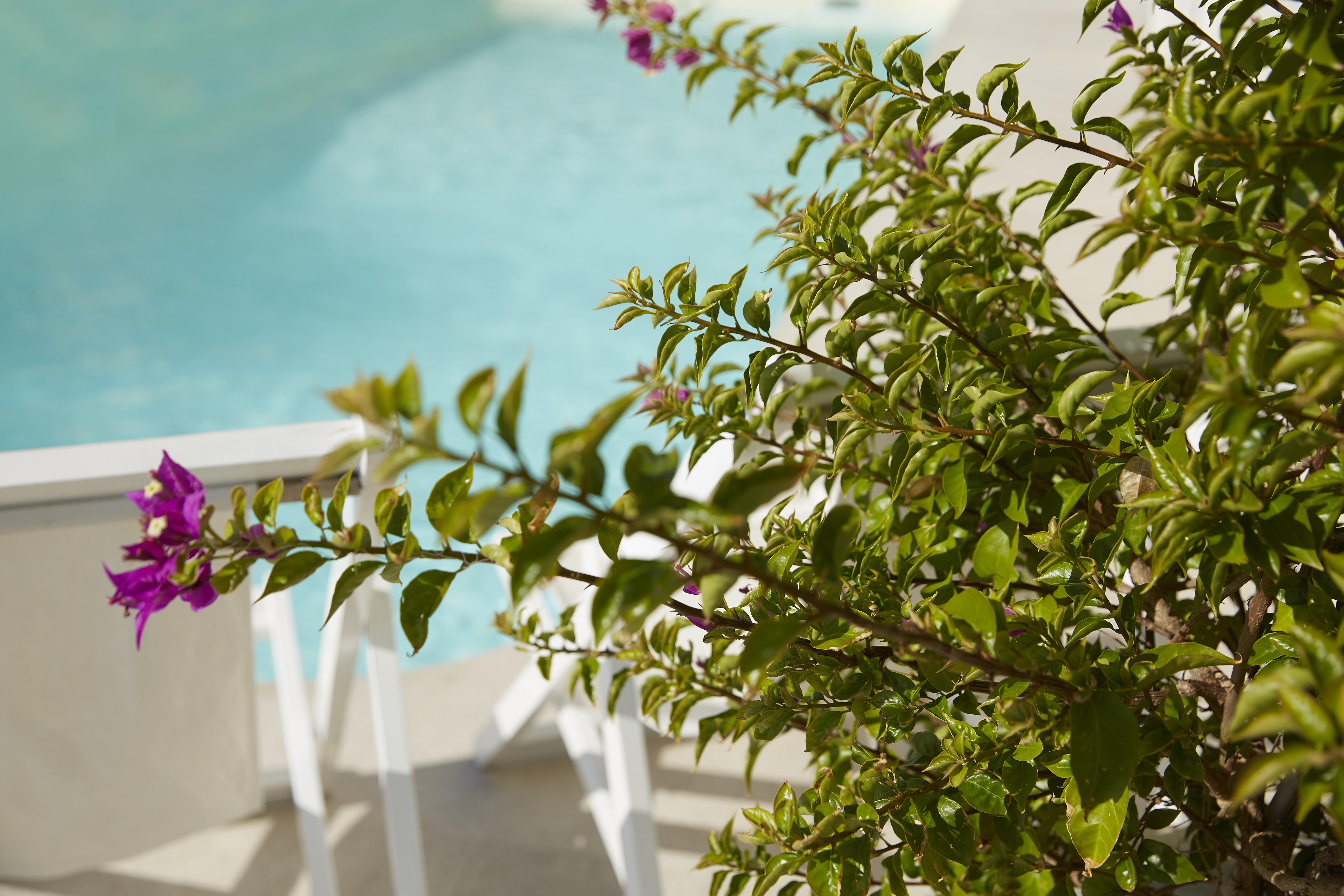Mon Repos Palace “Art Hotel” Operated By Ella Resorts (Adults Only) Corfu  Exterior foto
